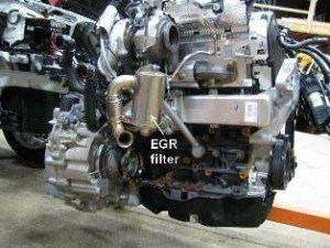 EGR Removal